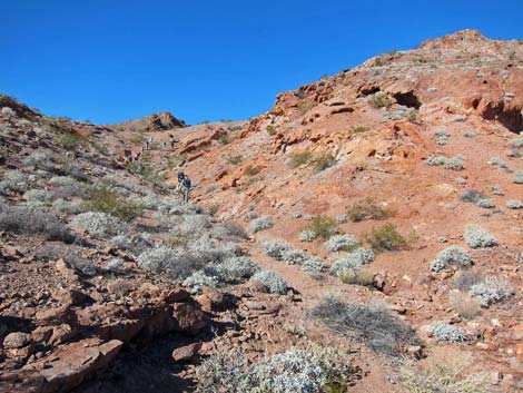 Seven Falls Canyon