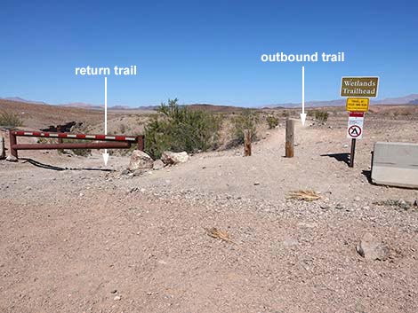 Wetlands Trail