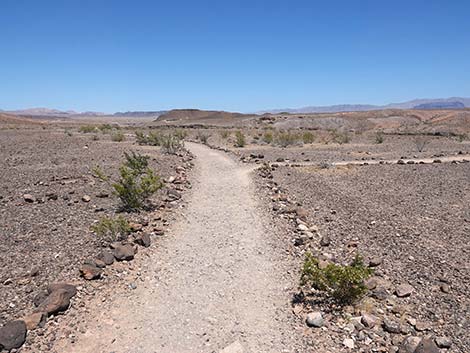 Wetlands Trail