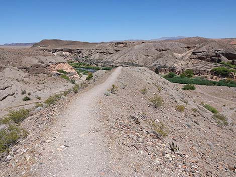 Wetlands Trail