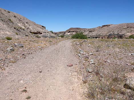 Wetlands Trail