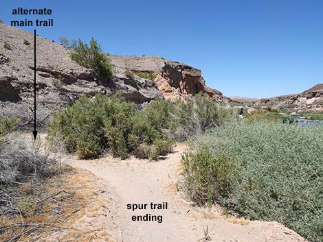 Wetlands Trail