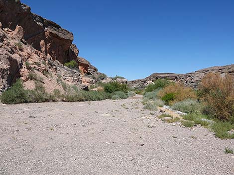 Wetlands Trail