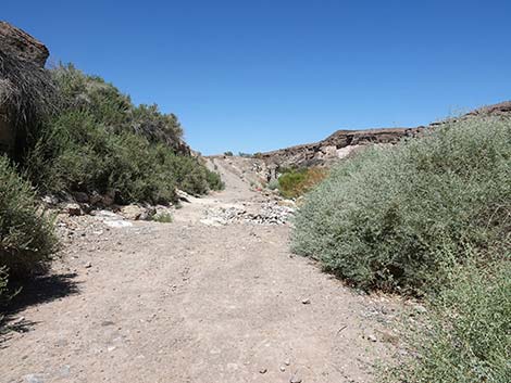 Wetlands Trail