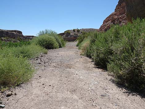 Wetlands Trail