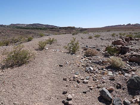 Wetlands Trail