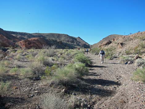 White Owl Canyon