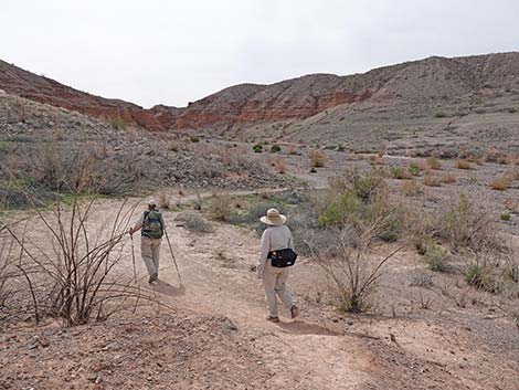 White Owl Canyon