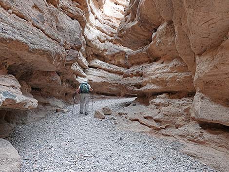 White Owl Canyon