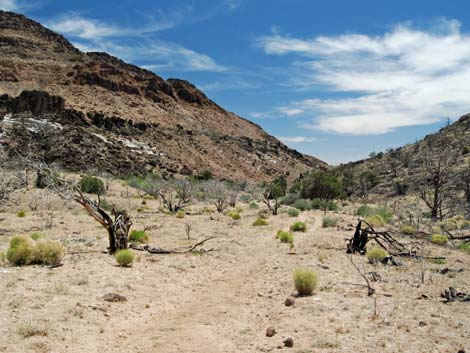 Barber Loop Trail