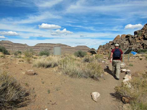 Barber Loop Trail