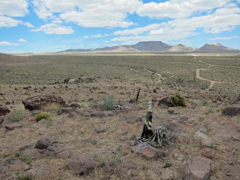 Barber Loop Trail