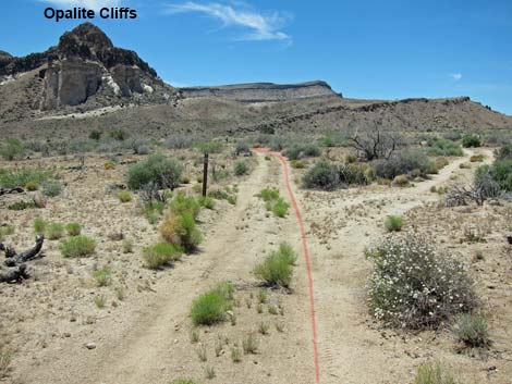 Barber Loop Trail