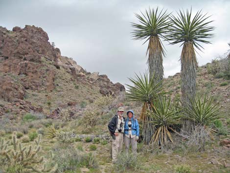 Barber Peak Loop