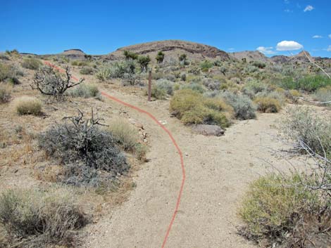 Barber Loop Trail