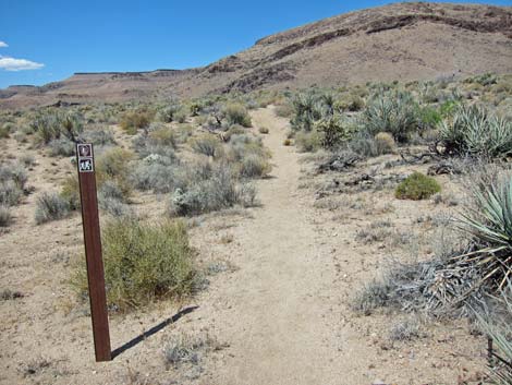 Barber Loop Trail