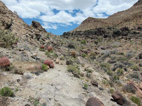 Barber Loop Trail