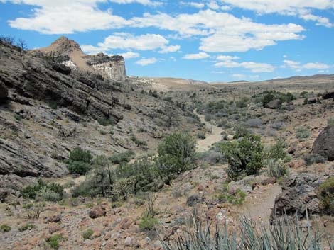 Barber Loop Trail