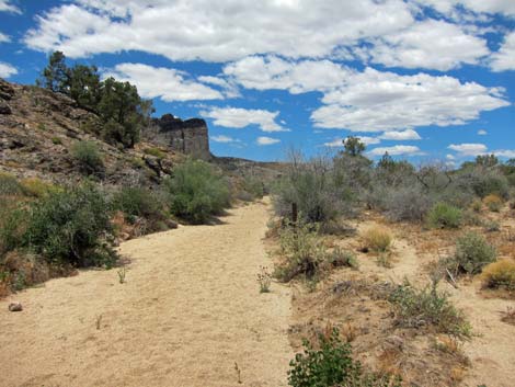 Barber Loop Trail