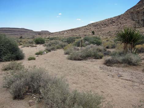 Barber Loop Trail