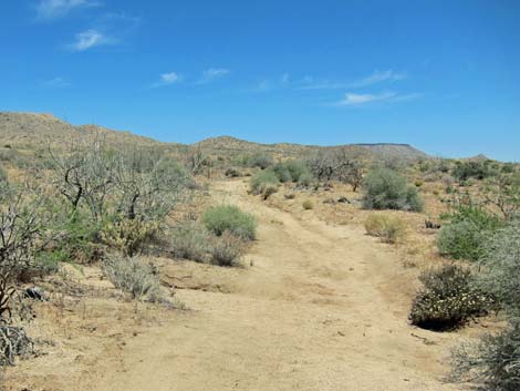 Barber Loop Trail