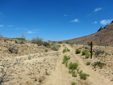 Barber Loop Trail