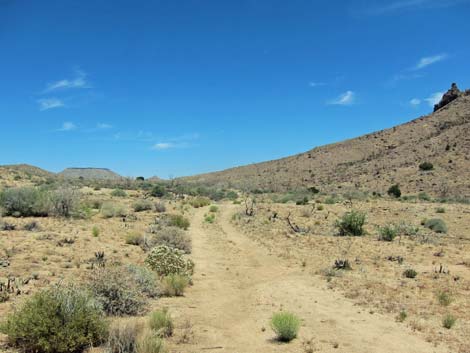 Barber Loop Trail