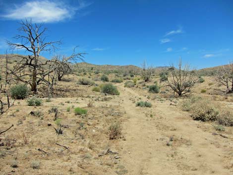 Barber Loop Trail