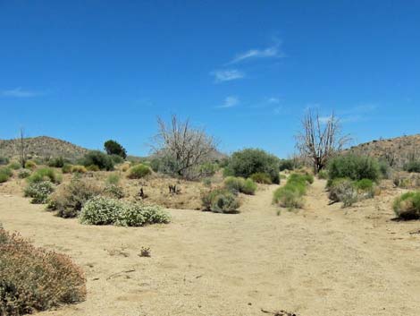 Barber Loop Trail