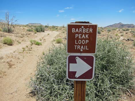 Barber Loop Trail