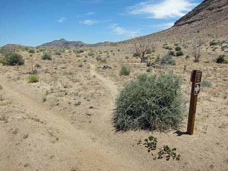 Barber Loop Trail