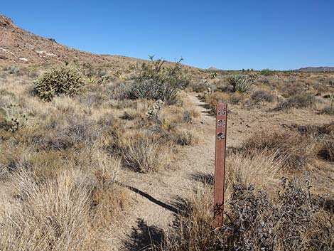 Barber Loop Trail