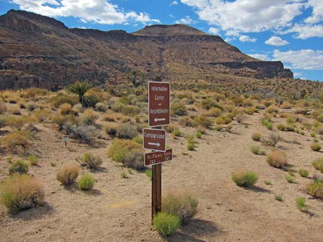 Cactus Garden Loop Trail