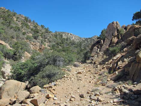 Caruthers Canyon