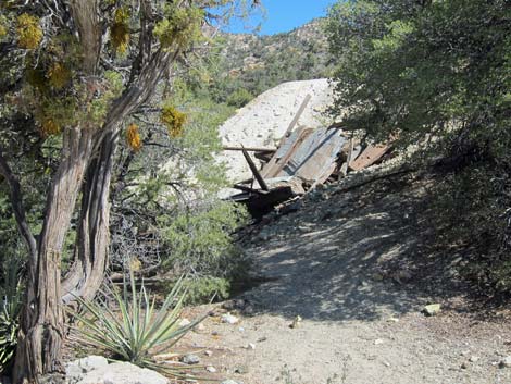 Caruthers Canyon