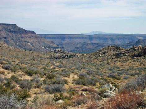 71,000-acre Hackbury Fire