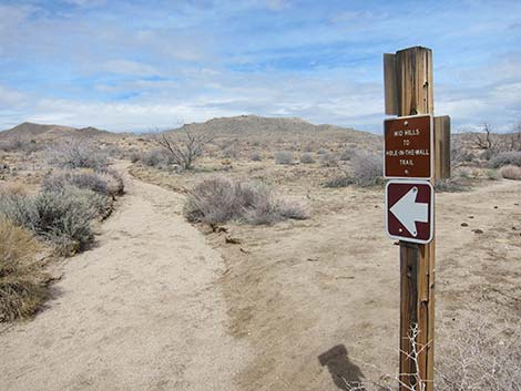 Hole-in-the-Wall to Mid Hills Trail