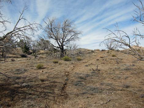 Hole-in-the-Wall to Mid Hills Trail