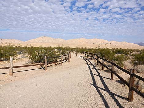 Kelso Dunes