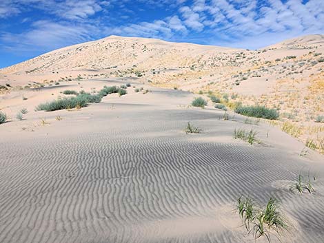 Kelso Dunes