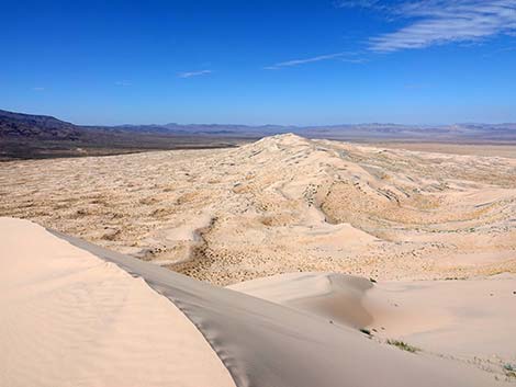 Kelso Dunes