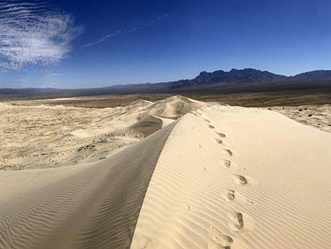 Kelso Dunes