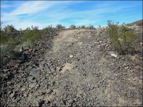 Lava Tube