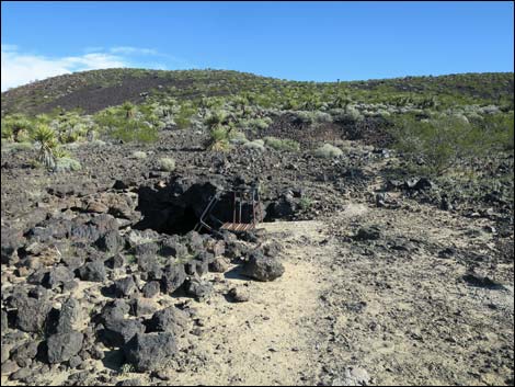 Lava Tube