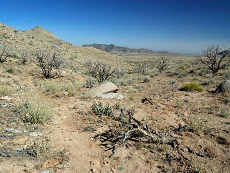 Mid Hills to Hole-in-the-Wall Trail