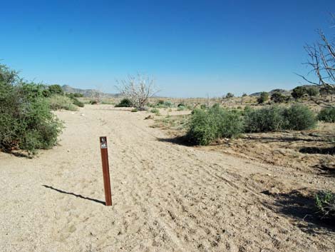 Mid Hills to Hole-in-the-Wall Trail