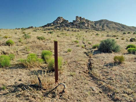 Mid Hills to Hole-in-the-Wall Trail