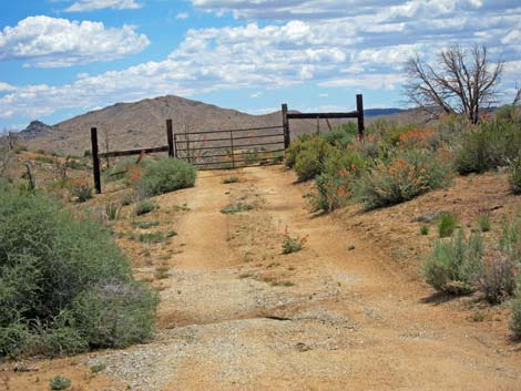 Mid Hills to Hole-in-the-Wall Trail