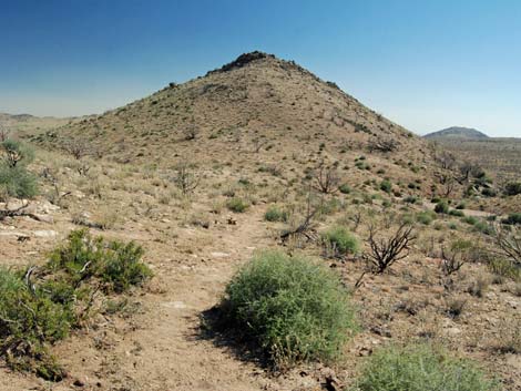 Mid Hills Loop Trail