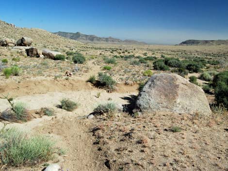 Mid Hills Loop Trail